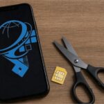 سیم‌کارت‌های حکومتی